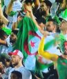 Algerians have gone missing after winning the African cup of nations