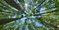 warnings of temperature increase