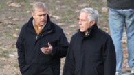 Prince Andrew will talk to the FBI if requested over Epstein case.