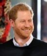 Prince Harry’s environmental hypocrisy