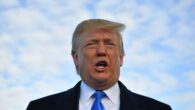 Trump actually considering Greenland buy