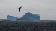 Italy to become first country to make learning about climate change compulsory for school students