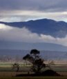 Tourists found alive after two weeks lost in the Australian outback