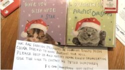 Tesco Christmas card factory denies ‘forced labour’