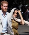 harry and meghan step back as senipor Royals#