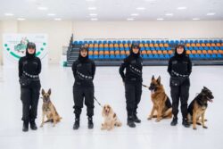 Dubai Police using sniffer dogs to detect COVID-19 patients