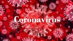 Global coronavirus updates