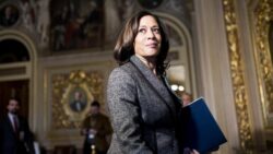 Inspirational female leaders 2020 – Kamala Harris Vice President Elect