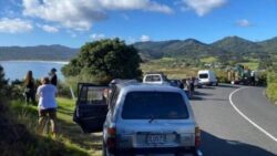 3 New Zealand earthquakes: Tsunami warnings, evacuations