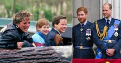 Diana made Harry and William ‘promise to be best friends’