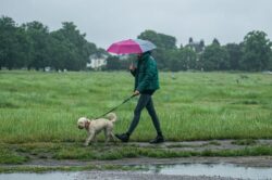 UK faces ‘European monsoon’ with heavy rain and four blasts of low pressure