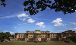 Buckingham Palace garden welcomes visitors and picnickers on Friday – for the first time.