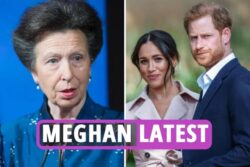 Royal war triggered ‘when Anne ordered Prince Harry NOT to marry unsuitable Meghan