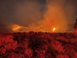 Another heatwave hits western US as wildfires rage on