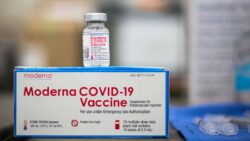 With a single dose of Pfizer or Moderna jabs, under-40s have “high” Covid protection.