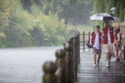 Met Office: Yellow Alert issued for heavy thunderstorms today 