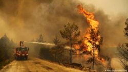 Firefighters in Turkey have been battling wildfires for five days