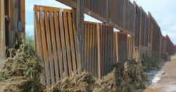 Trump’s border wall already falling down after flash floods