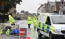 THREE people have died after a car crashed in London