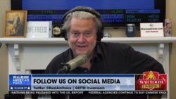 Steve Bannon admits he helped plan 6 January Trump rally to ‘kill the Biden presidency in the crib’