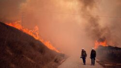 California’s Alisal Fire has prompted evacuations, road and Amtrak closures. And the heavy winds are making it hard to tame