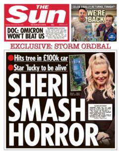 The Sun – ‘Sheri smash horror’