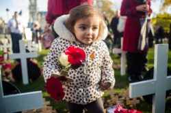 Nation falls silent as millions honour UK’s war dead on Armistice Day