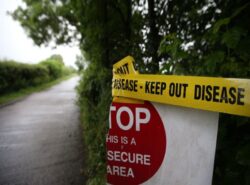 Avian flu found at third premises in Scotland