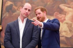 ‘Prince Harry SHOUTED at William when he questioned relationship with Duchess’, book claims