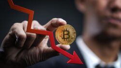 Bitcoin loses half its value and extends losses as market fails to rally