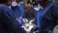 Pig heart implanted into human patient in ‘watershed’ US surgery