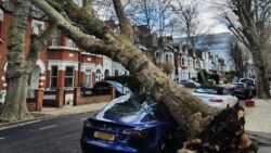 Storm Eunice leaves thousands of homes without power