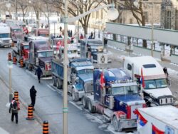 Police likely can’t stop Canada vaccine protests, Ottawa Chief says