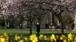 UK weather: Temperatures set to hit 19C this week as ‘plenty of sunny spells’ forecast