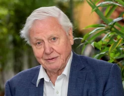 Sir David Attenborough named Champion of the Earth by the UN for life-long environmental work