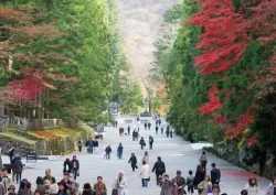 Japan prepares to reopen to tourists for first time since 2020