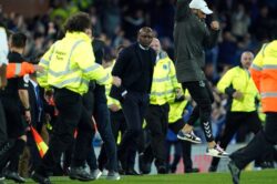 Patrick Vieira kicks Everton fan to the ground during pitch invasion at Goodison Park