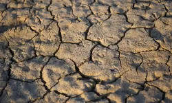 Italy drought emergency as rivers dry up – Lake Como drops 16cm as 43C wave batters Europe