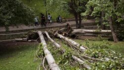 Five people killed in floods and storms in central Turkey