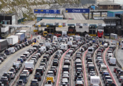 Brexiteer calls for urgent action after warning Brits could face 14 hour queues at Dover