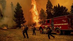 Thousands evacuated as ‘explosive’ California wildfire widens