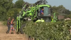 Billions needed to compensate drought losses in France 