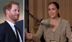 Prince Harry tipped to make ‘regular cameos’ in Meghan’s ‘carefully-planned’ podcast