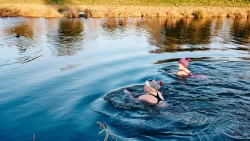 Cold water swimming health trend: The pros of an icy dip