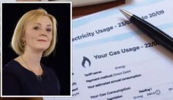 Liz Truss handed masterplan to REVERT bills price cap on day one: ‘No brainer!’