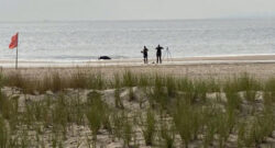 Three children dead on beach ‘were drowned by their mum’