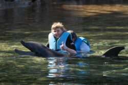 Sick children swim with dolphins on ‘once-in-a-lifetime’ free holiday in Florida