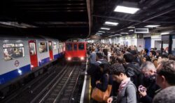 ‘Out of control’: Transport for London criticised for ‘woke culture’ in language guide