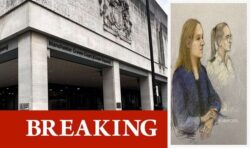Lucy Letby injected air into five-day-old baby’s stomach via nose tube, court hears