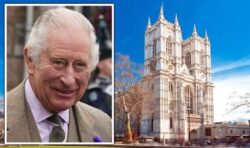 King Charles III coronation to be bathed in sunshine for springtime national celebration
